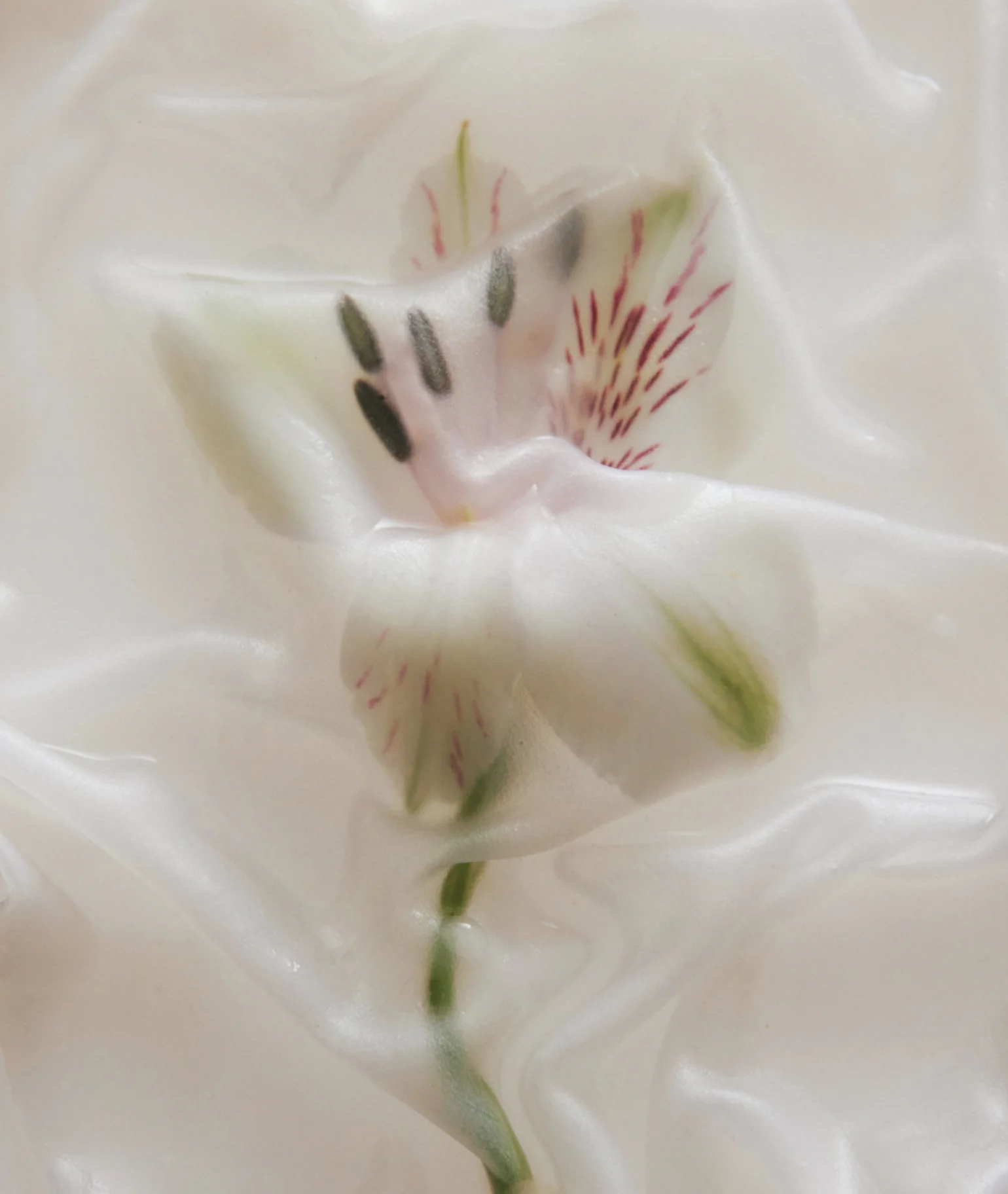 000 Perfume Oil - Image 4