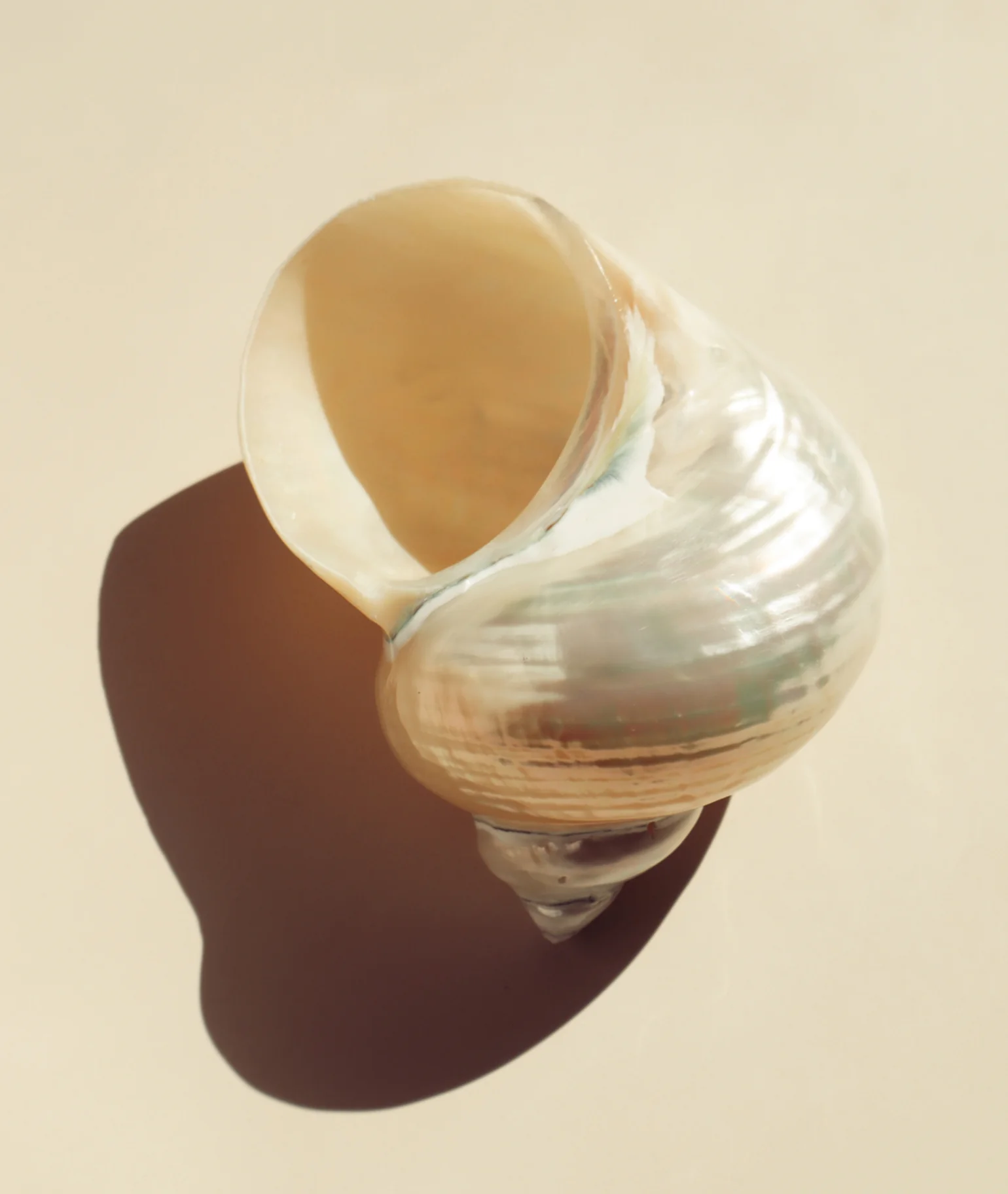 Le Beach Eau de Parfum - Image 6