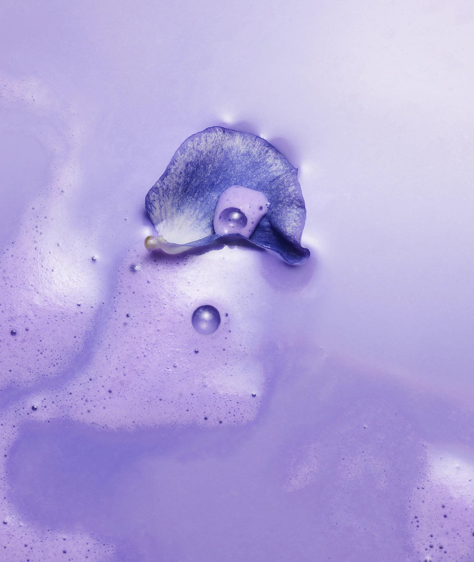 Violet Sucré Eau de Parfum - Image 8